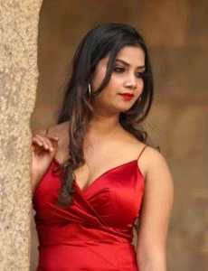 call girl service in Periyanaickenpalayam